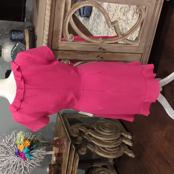 NWT Women's size 9/10 Fuchsia Dress - Picture 2 of 11